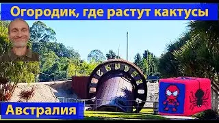 Парк, после потопа, непонятная штучка и вязаные шапочки для бордюра. (видео 582)