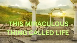 THIS MIRACULOUS THING CALLED LIFE ~ JARED RAND  06-10-24   #2225