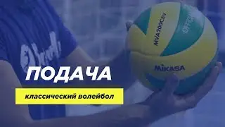 Подача в волейболе. Планер, силовая. Техника.
