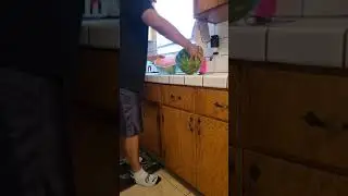 Ninja Fruit Watermelon 🍉