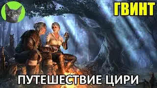 Уютный стрим - Гвинт - Путешествие Цири и Весемира, глава 3 (+Древо Сигизмунда Дийкстры)