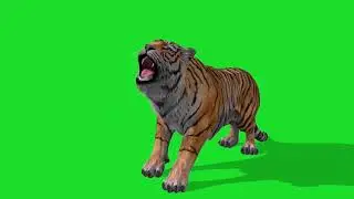 Tiger animated effect || green screen tiger animated effect || green screen effects 