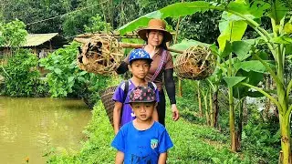 catching broiler chickens to sell and buying goat breeds to raise - DANG THI DU