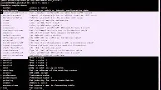 Juniper Routing Policy Lab 1