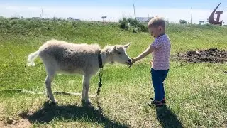Выходные в деревне. Майские праздники 2020