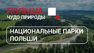 Польша.Чудо природы - Национальные парки Польши. Евгения Лёшина, экоцентр 