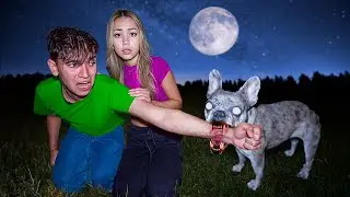 MY POSSESSED DOG BIT MY BOYFRIEND!