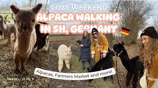 Cozy Day Trip from Hamburg, Germany: Walking with Alpacas and more!