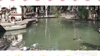 Услуги Адвоката в Италии 🤫🙋‍♀️