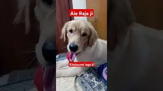 Raja👻 #rjsurabhisaxenaofficial #vlogger #shortsvideo #shorts #familyvlog #yt #youtubeshorts #vlogger