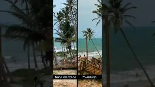A diferença que faz um óculos polarizado #fisica