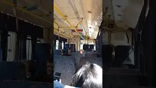 Дорога из Симферополя в Алушту на тралейбусе , за окном красота- горы, кипарисы, виноградники