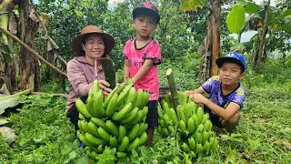 Full video 60 days of harvesting fruits and vegetables for sale by DANG THI DU