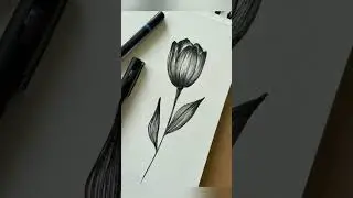 Aesthetic drawing ideas part 2 for beginners #aestheic #drawing #artbymuqadas