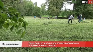 По распорядку: один день из жизни подопечных волховского исправительного центра