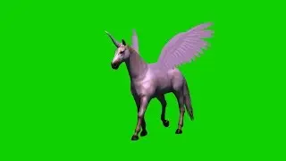 purple unicorn goes- green screen effect