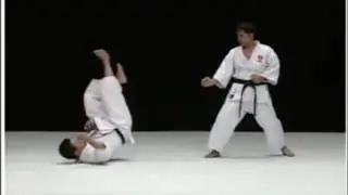 Рюэй рю Бункай ката Нисейси