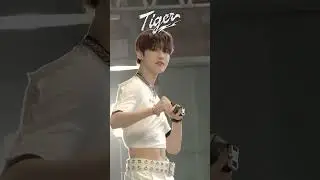 n.SSign 2nd Mini Album Repackage ‘Tiger’ MV Behind Clip