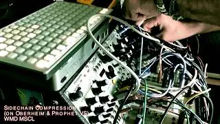 Modular Cave Session #11 - Acid Lab M303