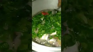 TINULANG ISDANG ALOMAHAN 