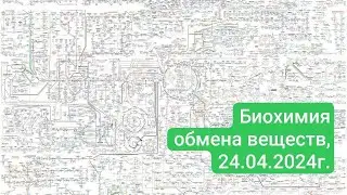 Биохимия обмена веществ. Комплексный набор LR для восстановления организма.к.м.н.Зелимхан Берикханов