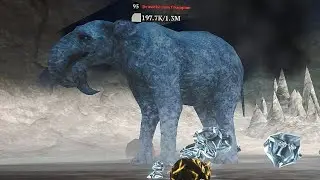 The Wolf - Deinotherium Champion 🏆 | Max Gems