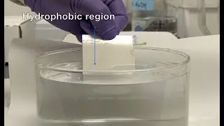 Hydrophilic and Hydrophobic Treatment Demo | Oceanit Surface Treatments