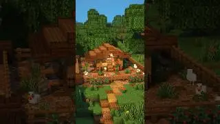 Chicken Coop Egg Farm🐓