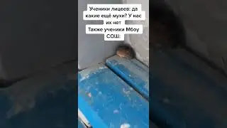 Мбоу СОШ: