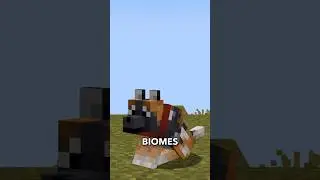 8 WOLF VARIANTS Added to Minecraft 1.21!