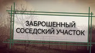 ЖИЗНЬ В СТАНИЦЕ. Заброшенный соседский участок.