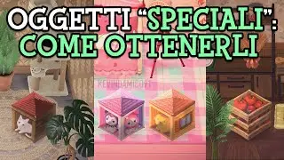 oggetti "SPECIALI" e come ottenerli | Animal Crossing New Horizons | Custom designs ideas idee