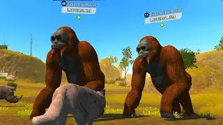 The Wolf - All New Animals In The New Map Jade Pillars 🏆