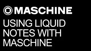 NI Maschine - Using Liquid Notes with Maschine - How to Tutorial