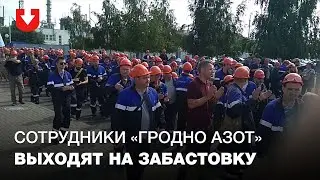 Сотрудники 