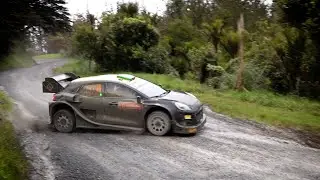 DAY 3 - Repco Rally New Zealand 2022 - L. Bertelli / L. Granai - Ford Puma Rally1