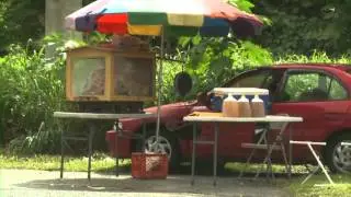 Puerto Rico's Street Food