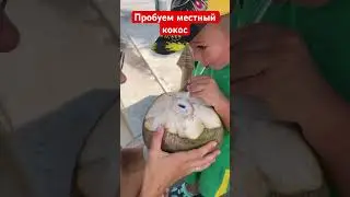 Жена первый раз пробует  КОКС 😂 Кокос  🌴🥥 