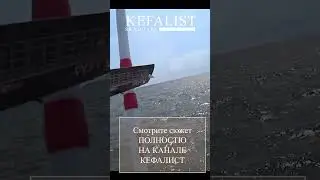 Спиннинг для рыбалки на кефаль: фидер, ультралайт. Как выбрать удилище для рыбалки с берега и заброд
