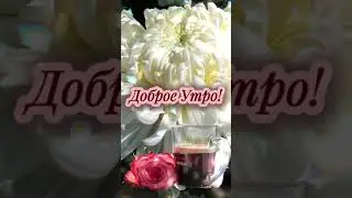 #доброеутро#позитив#пожелания#открытки#shortvideos#shortvideo