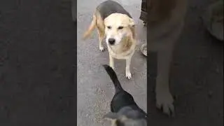 Пришли на обед🤗