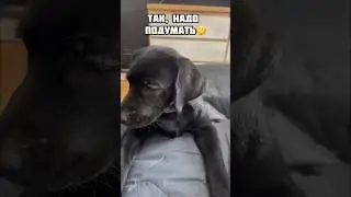 Тяжелые будни 😥 