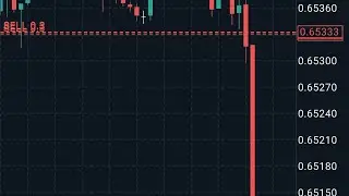 CPI AUD 31/07/2024...... 