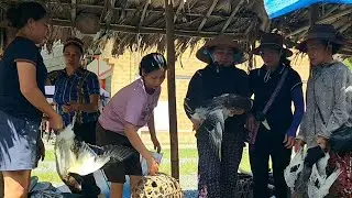Single mother DANG THI DU sells ducks at the market to buy clothes for her two sons.