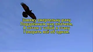 Жара - Чёрный ворон (караоке)