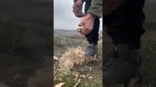 Добыча Огня проволокой 