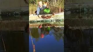 #рак