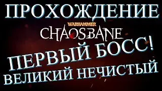 Warhammer Chaosbane Первый Босс - Великий Нечистый. Как убить Кесслера особенно если ты гном?