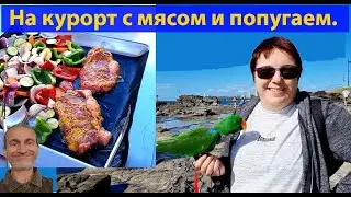 А это курорт Мулулаба с попугаем и австралийским барбекю!  (видео 623)