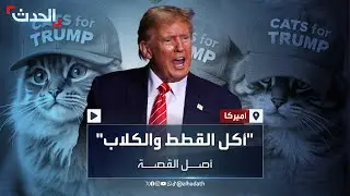 المهاجرون يأكلون القطط والكلاب.. قصة وراء ما قاله ترمب في المناظرة